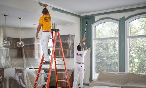 Raising Your Home’s Splendor with Grasp Color Organization – Sydney’s Premier Residential Painting Professionals