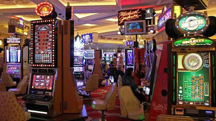 Gamble with Glory: Casino Slot Machine Triumphs Revealed